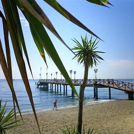 Monarque El Rodeo Hotell